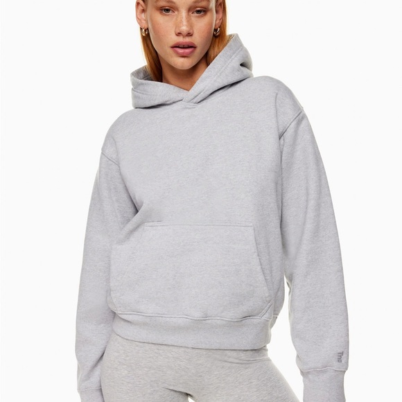 Aritzia Tops - Aritzia TNA Heather Grey Hoodie
